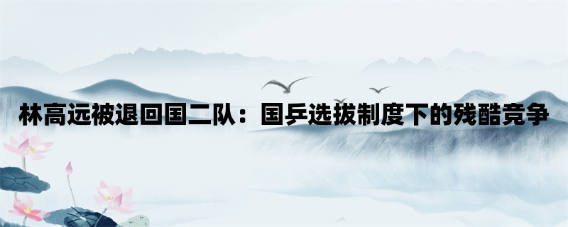 林高远被退回国二队：国乒选拔制度下的残酷竞争