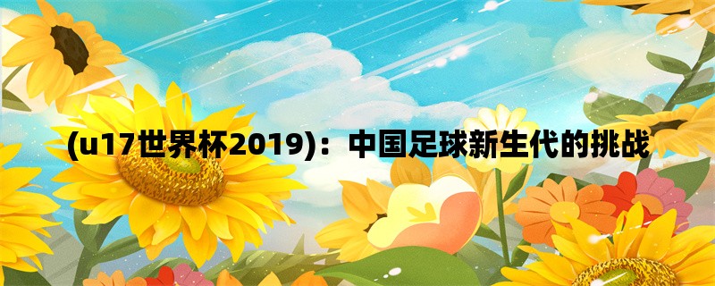 (u17世界杯2019)：中国足球新生代的挑战