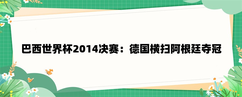 巴西世界杯2014决赛：德