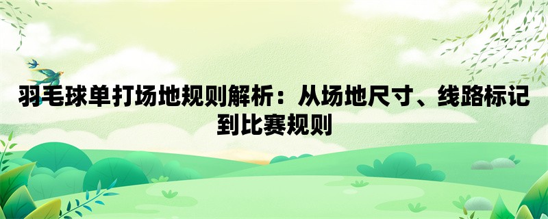 羽毛球单打场地规则解析：从场地尺寸、线路标记到比赛规则