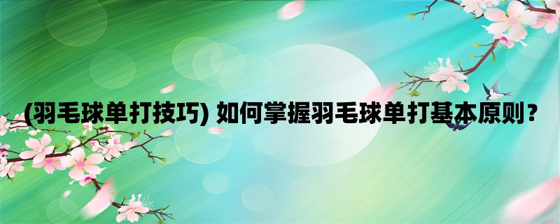 (羽毛球单打技巧) 如何掌握羽毛球单打基本原则？