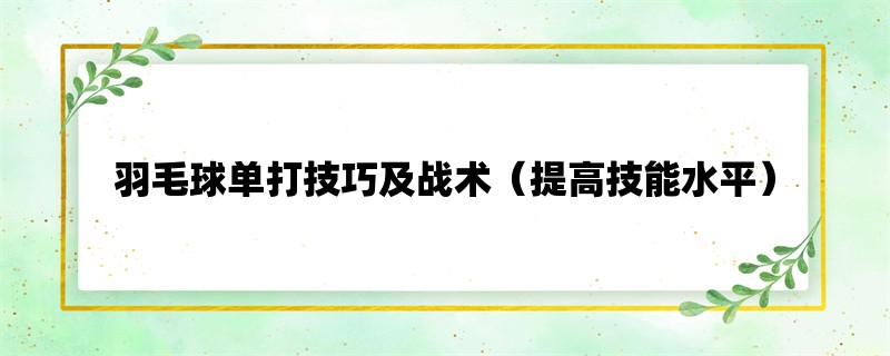 羽毛球单打技巧及战术（提高技能水平）