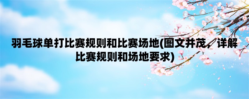 羽毛球单打比赛规则和比