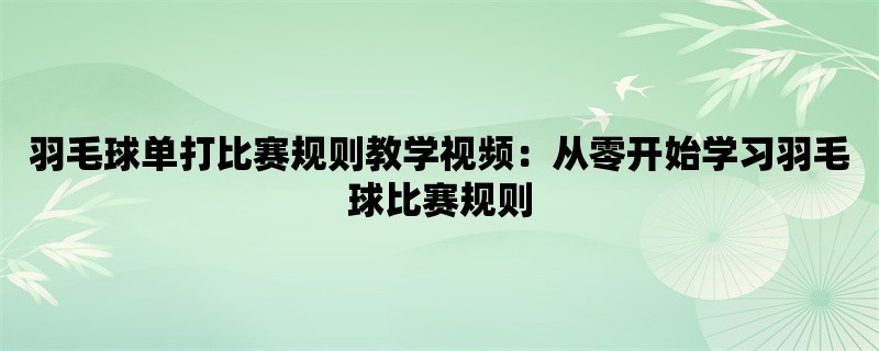 羽毛球单打比赛规则教学