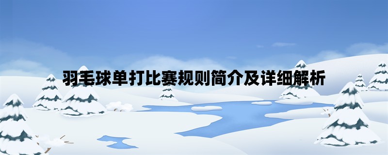 羽毛球单打比赛规则简介及详细解析