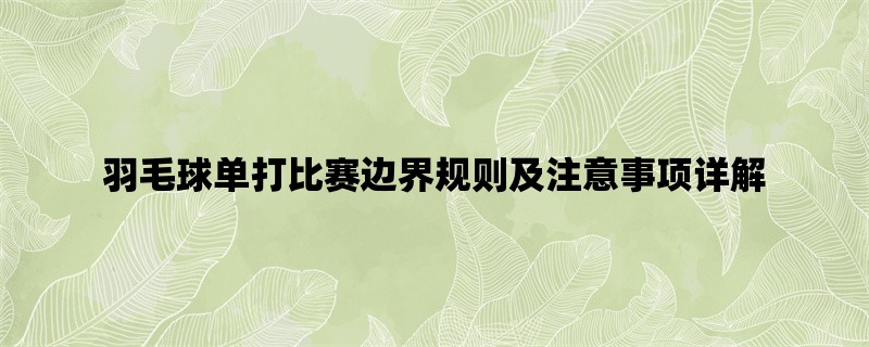 羽毛球单打比赛边界规则及注意事项详解