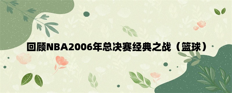 回顾NBA2006年总决赛经典之战（篮球）