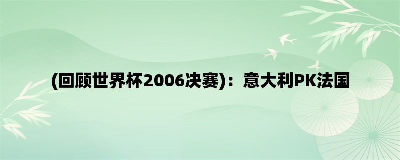 (回顾世界杯2006决赛)：意大利PK法国