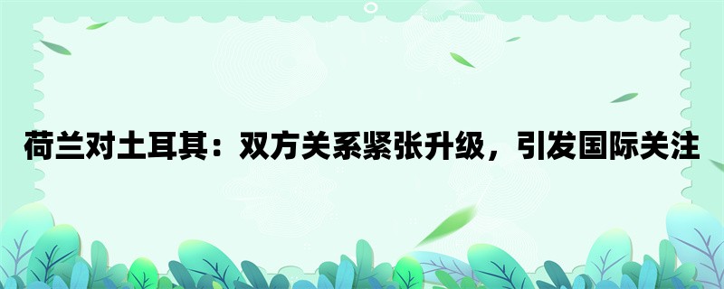 荷兰对土耳其：双方关系