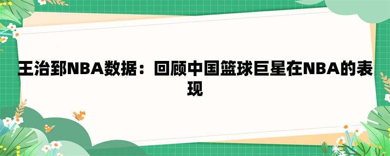 王治郅NBA数据：回顾中国