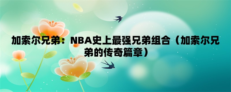 加索尔兄弟：NBA史上最强