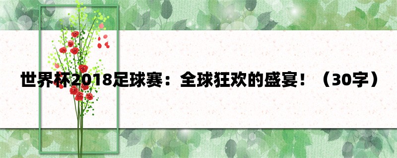 世界杯2018足球赛：全球