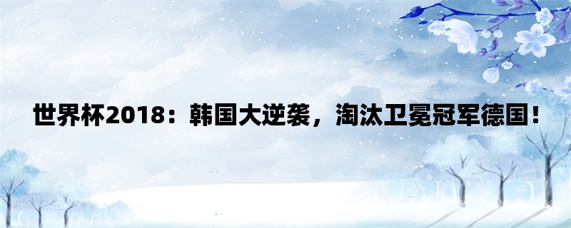 世界杯2018：韩国大逆袭，淘汰卫冕冠军德国！