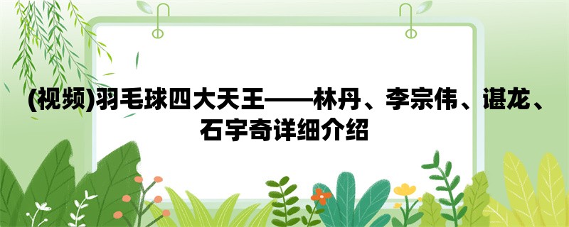 (视频)羽毛球四大天王，林丹、李宗伟、谌龙、石宇奇详细介绍