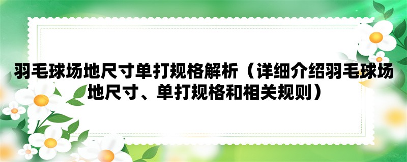 羽毛球场地尺寸单打规格解析（详细介绍羽毛球场地尺寸、单打规格和相关规则）