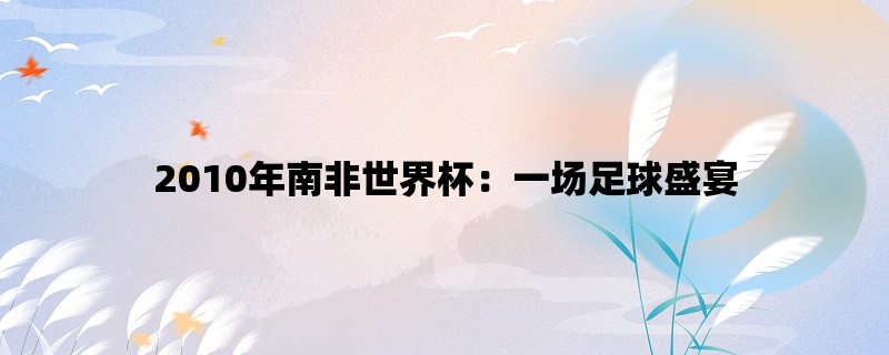 2010年南非世界杯：一场