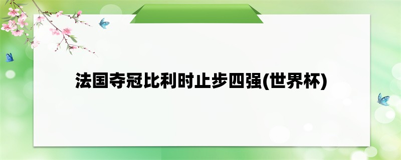 法国夺冠比利时止步四强