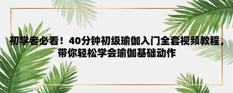 初学者必看！40分钟初级