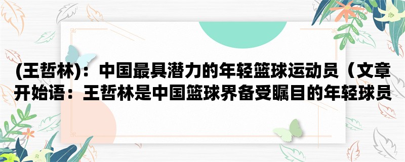 (王哲林)：中国最具潜力