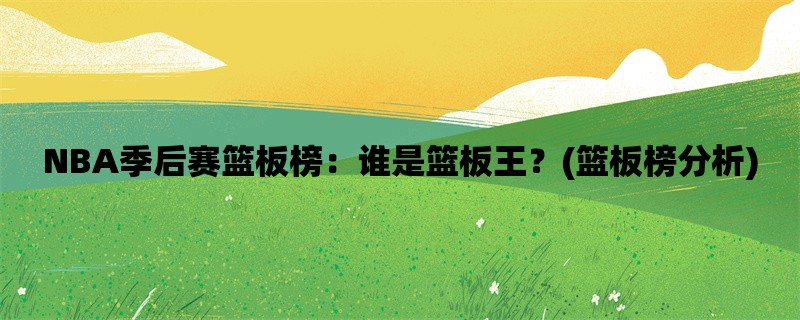 NBA季后赛篮板榜：谁是篮板王？(篮板榜分析)