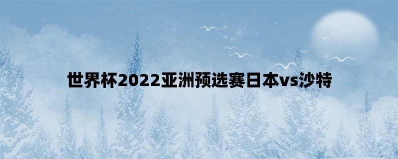 世界杯2022亚洲预选赛日