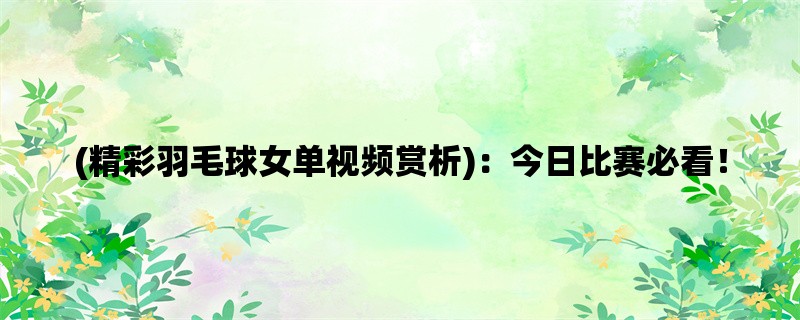 (精彩羽毛球女单视频赏