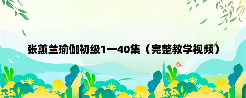 张蕙兰瑜伽初级1一40集（完整教学视频）