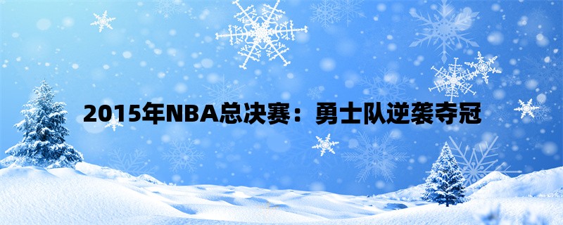 2015年NBA总决赛：勇士队