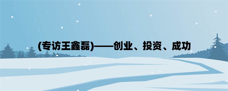 (专访王鑫磊)，创业、投