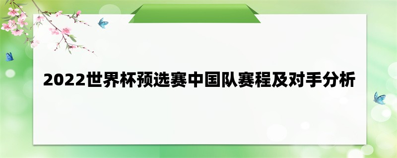 2022世界杯预选赛中国队