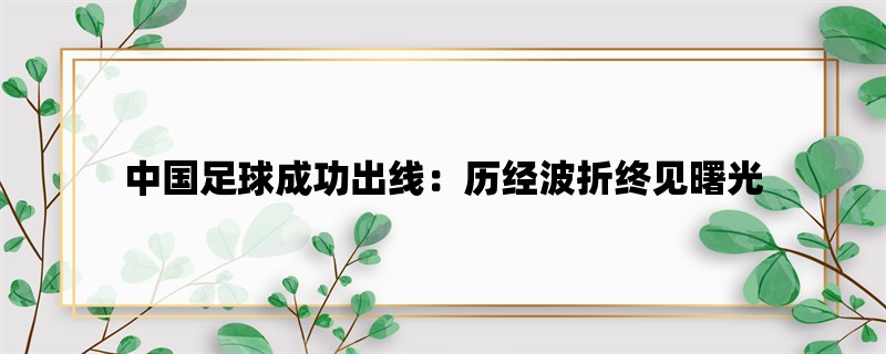 中国足球成功出线：历经波折终见曙光