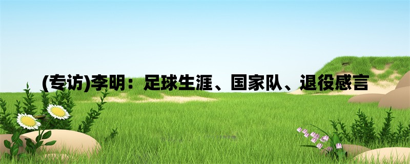 (专访)李明：足球生涯、国家队、退役感言