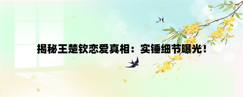 揭秘王楚钦恋爱真相：实