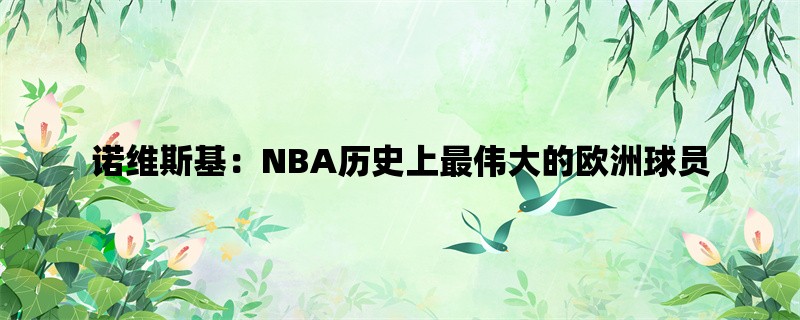 诺维斯基：NBA历史上最伟