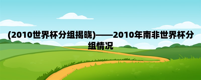 (2010世界杯分组揭晓)，2010年南非世界杯分组情况