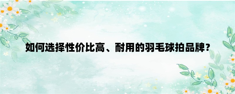 如何选择性价比高、耐用的羽毛球拍品牌？