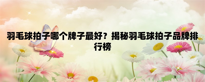 羽毛球拍子哪个牌子最好？揭秘羽毛球拍子品牌排行榜