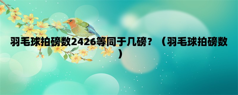 羽毛球拍磅数2426等同于几磅？（羽毛球拍磅数）