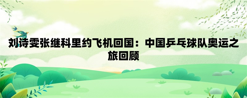 刘诗雯张继科里约飞机回