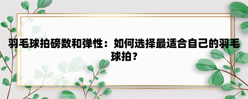 羽毛球拍磅数和弹性：如