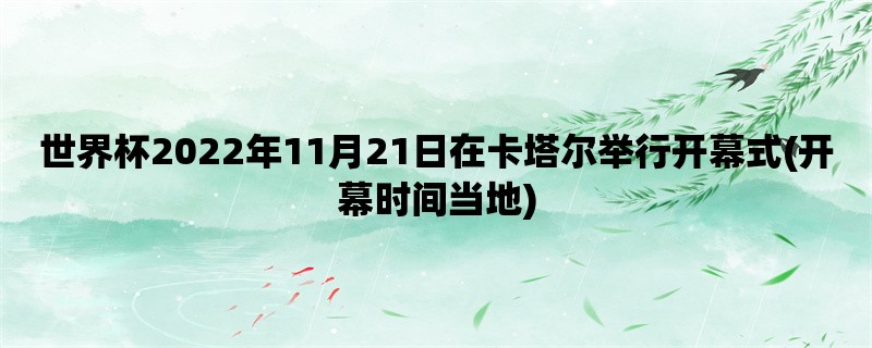 世界杯2022年11月21日在卡