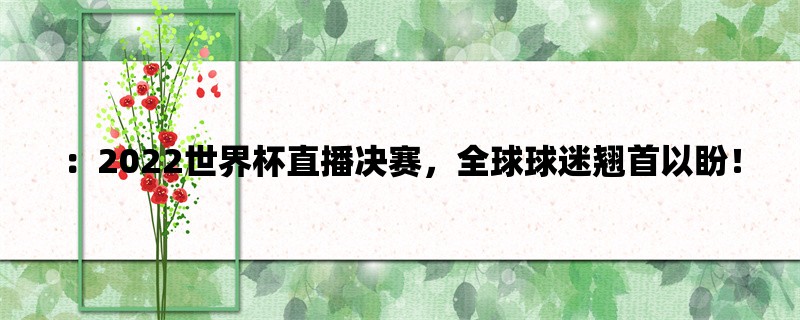 ：2022世界杯直播决赛，全球球迷翘首以盼！