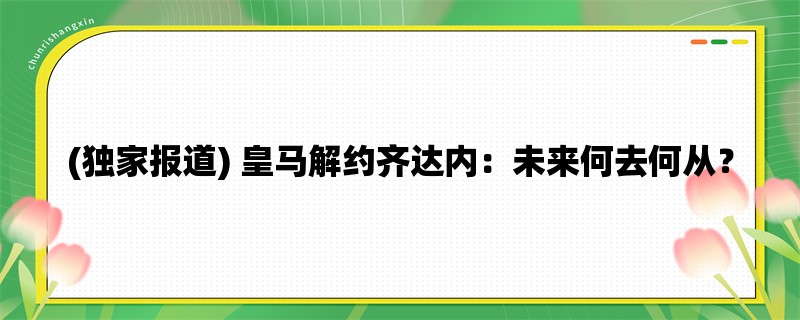 (独家报道) 皇马解约齐达