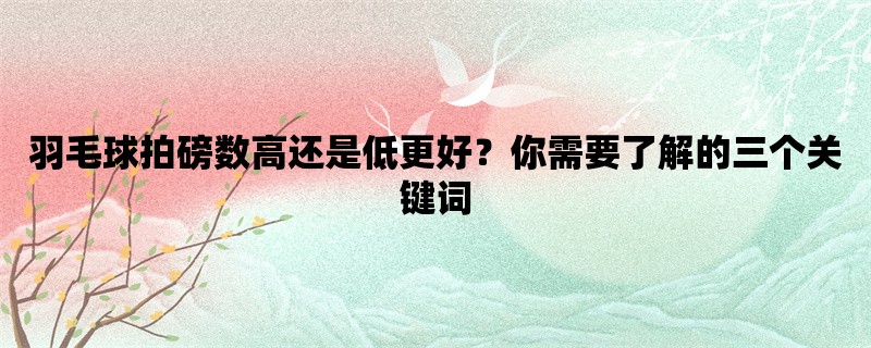 羽毛球拍磅数高还是低更