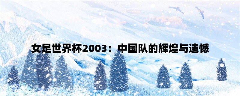 女足世界杯2003：中国队的辉煌与遗憾