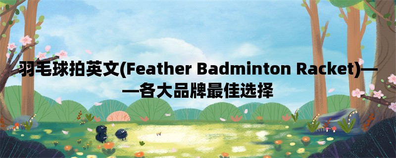 羽毛球拍英文(Feather Badminton Racket)，各大品牌最佳选择