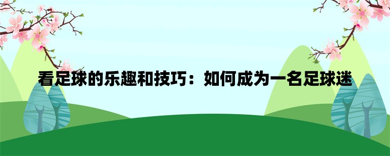 看足球的乐趣和技巧：如何成为一名足球迷