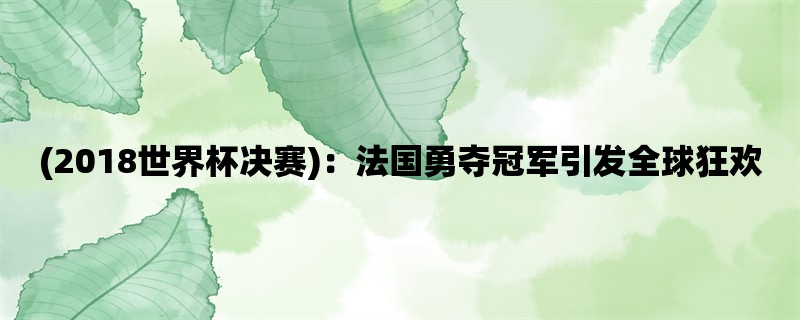 (2018世界杯决赛)：法国勇夺冠军引发全球狂欢