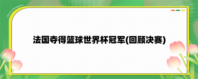 法国夺得篮球世界杯冠军(回顾决赛)