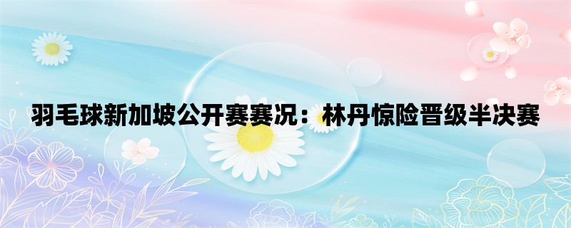 羽毛球新加坡公开赛赛况